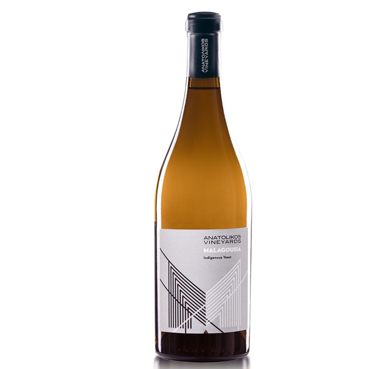 Φωτογραφία